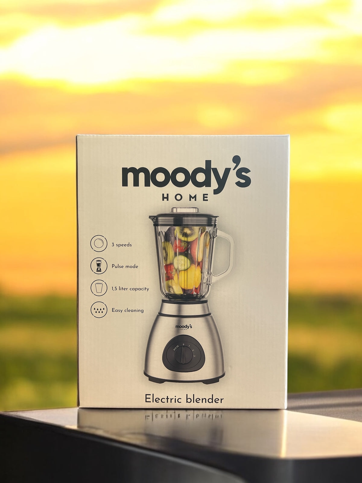Blender Haute Performance 250W – Moody’s Home